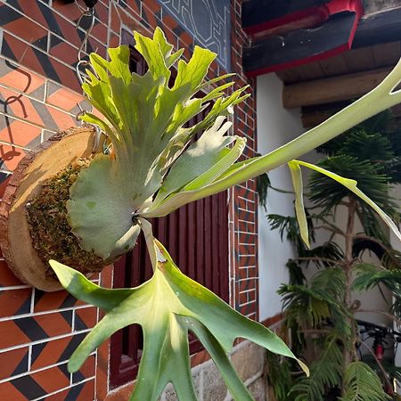Grace Homestay Jincheng Eksteriør billede