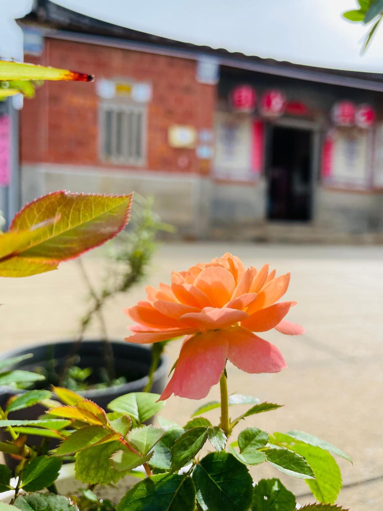Grace Homestay Jincheng Eksteriør billede